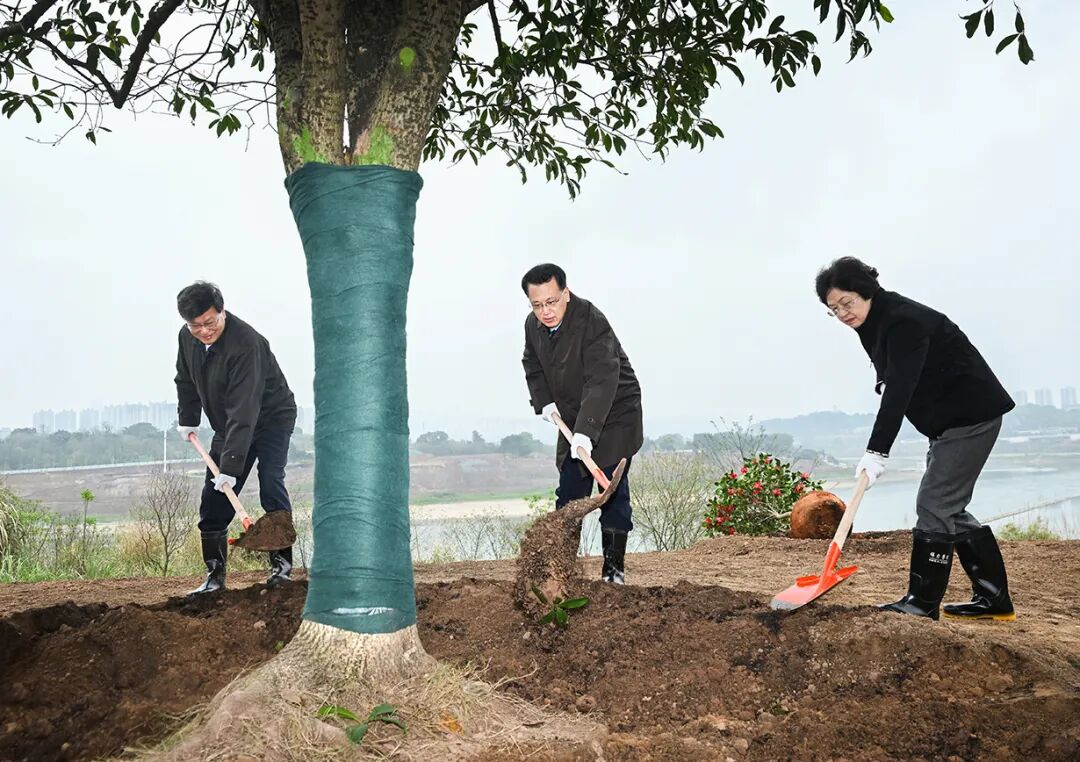 重庆市长胡衡华已连续缺席三场重大活动